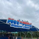 월드코스트온라인 | 2026 호주 골드코스트 웻앤와일드 후기 및 가격, 비용, 시간 등 총정리