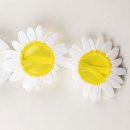 해바라기플라워 - 서구 둔산북로 22 | 해바라기플라워