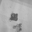 문정탑동물병원 이미지