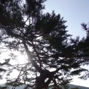 남사고유적지 이미지