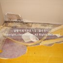 곰팡이헌터 이미지