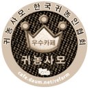 신탄로 Daum카페