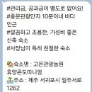 고은관광농원 휴양콘도미니엄 이미지