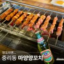 대전 한남대 가성비 좋은 양꼬치 맛집 추천 마양양꼬치