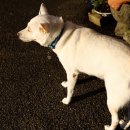 길순농장 이미지