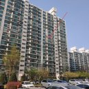 곰돌이키즈치과의원 이미지