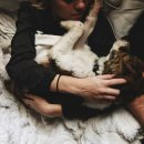 우리강아지 이미지