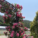 라온농장 이미지