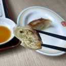 비아매일카 | 후쿠오카 하카타역 근처 중식 맛집 교자노오쇼 라멘 볶음밥 교자 후기