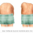 아일랜드 장평점 이미지