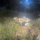 인송자스튜디오 이미지