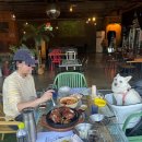 한림동물병원 | [인천/계양구] 작전동 애견 동반 식당 장작구이 맛집 동백별관 후기