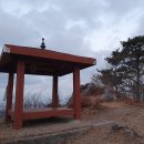 나리목장 이미지