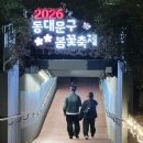 장안벚꽃길 | 서울 중랑천 장안 벚꽃길 야경 구경 벚꽃 축제 만개 실시간 현황