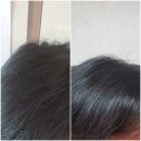 퍼시픽 티지 이미지