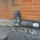 연지사우나 | 청도꽃담 | 대구 근교 독채 펜션 후기🏠