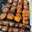 왕짱 애견스쿨 이미지