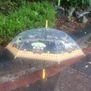 컴포즈커피 부천번영사거리점 이미지