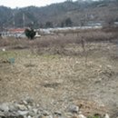 내곡동305 이미지