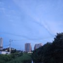 또복이도시락 이미지