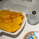 mini(미니)(청-181호) | 하얏트 리젠시 나트랑 / 시내 신상호텔 / 나트랑 호텔 추천