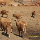 명성농장 이미지