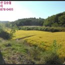 황방이보건진료소 네이버블로그