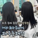 에이바헤어 파주동패점