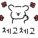 엘아인 이미지