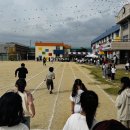 부여초등학교 이미지