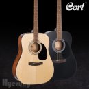 클래식&포크기타(입문) 이미지