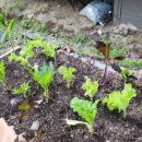 삼동담배집 이미지