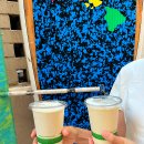 바나나소프트 이미지