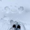 전적비 공중화장실 | 강원도 설경 명소 @ 진고개정상휴게소 (주차장, 포토스팟, 화장실)