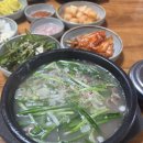 산청돼지국밥 | 식도락투어 - 내용물이 풍성한 국밥집 산청군 '신영광돼지국밥' 방문후기 -
