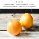 구성과일상회 이미지