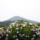 안성리-6 네이버블로그