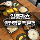 향교 | 마곡동맛집 일품카츠 양천향교역 본점 후기