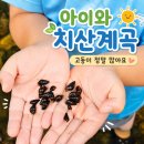영천곤충 | 영천치산계곡 후기 아이와 물고기 잡기 좋았던 곳