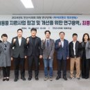 캣츠앤 이미지