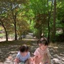 시온산장 이미지