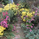 선명농장 이미지