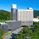 휘닉스 호텔 이미지