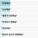 성산포사랑 | 동네한바퀴 제주도 은갈치 성산포 갈치회 갈치조림