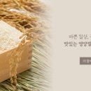 쌀농부