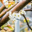 성문농장 이미지