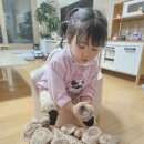 채은농장 이미지