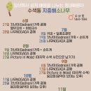 지중해소나무 이미지