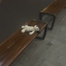 수아헤어리더 | 7월 정리