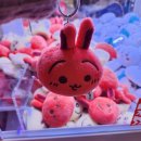 (주)크로스컴 | 이것저것, 이런저런